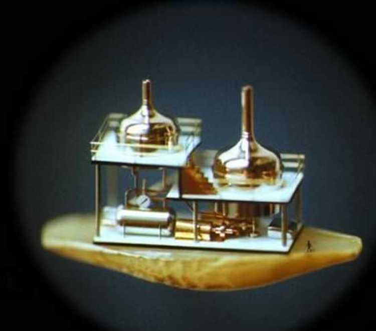 Mikro Minyatür | Arpa Tohumuna Minyatür